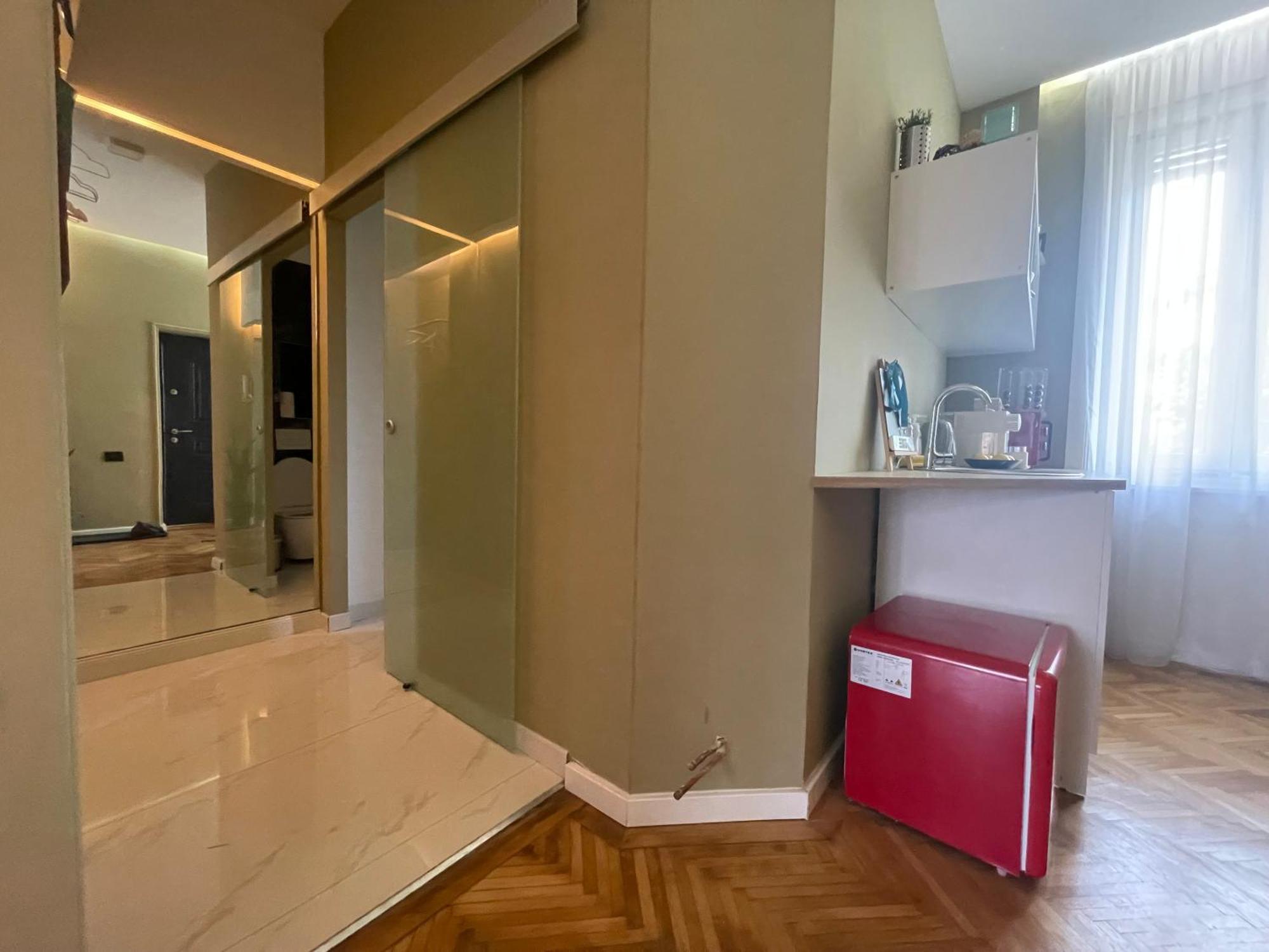 New Opera Studio Old City Center Self Check In Διαμέρισμα Τιμισοάρα Εξωτερικό φωτογραφία